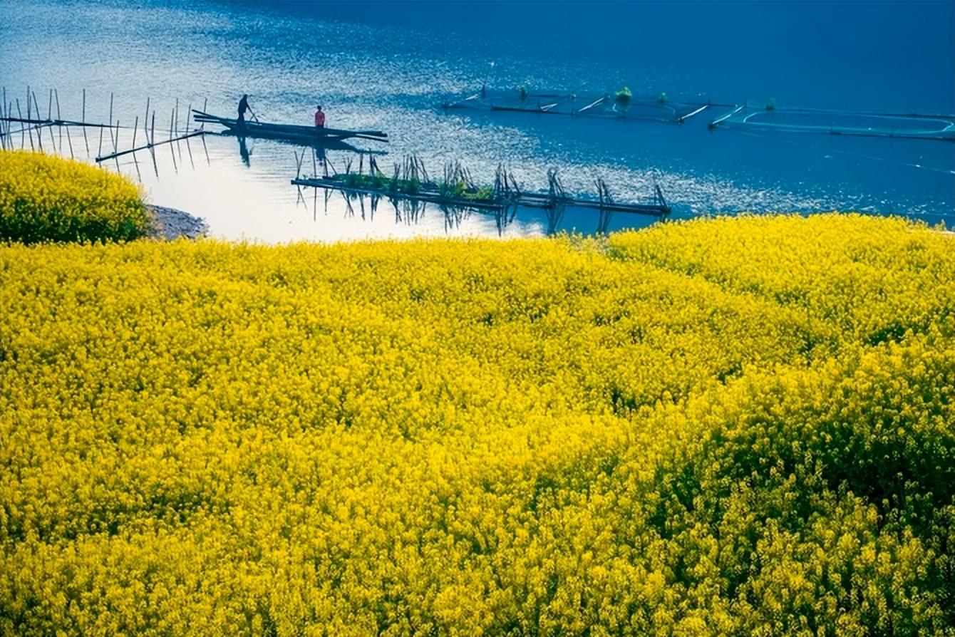 思乡经典古诗词（鸟瞰金汤心花放，满目春光尽是景）