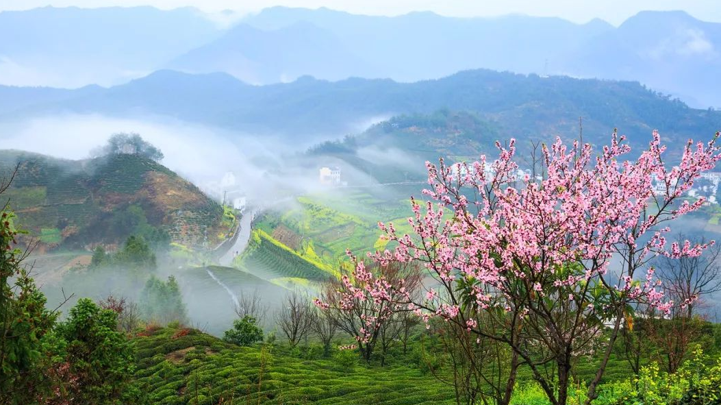 思乡经典古诗词（鸟瞰金汤心花放，满目春光尽是景）