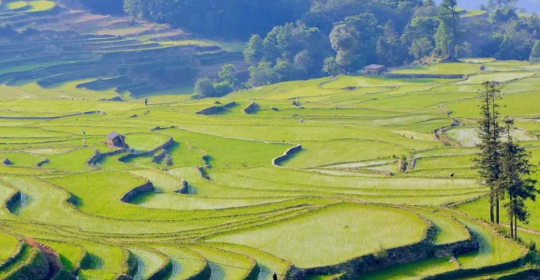 思乡经典古诗词（鸟瞰金汤心花放，满目春光尽是景）