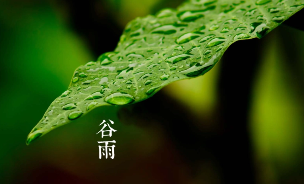 雨落生百谷，万物皆可期（有关谷雨的唯美诗词）