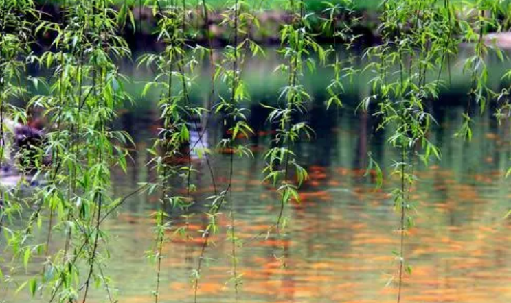 落花飘零，惜春时节（十首有关惜春的诗词）