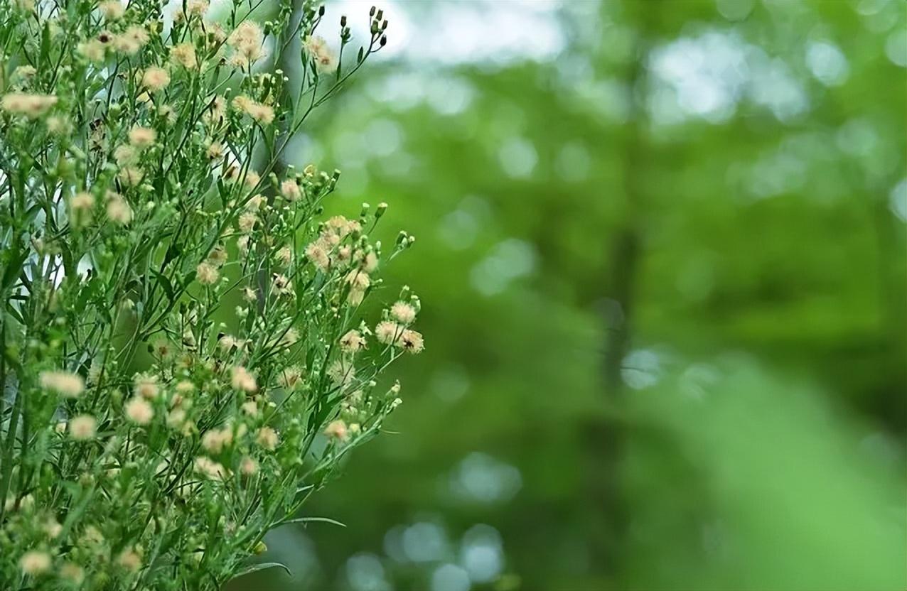 落花飘零，惜春时节（十首有关惜春的诗词）