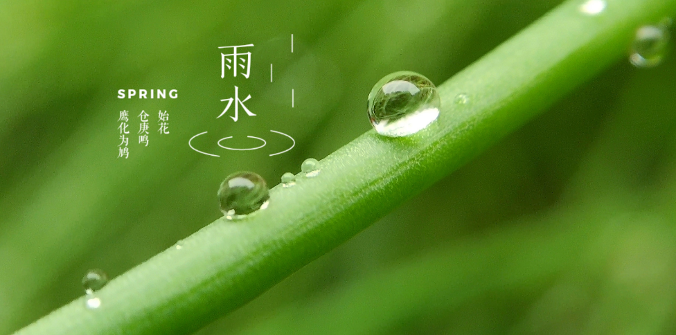 描写春天的经典古诗（有关春雨的唯美诗词）