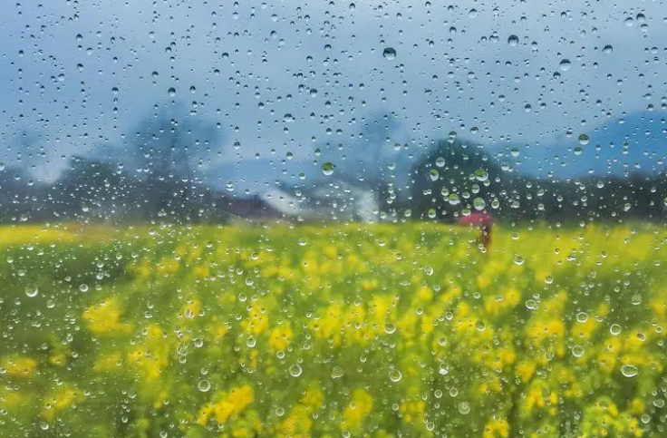 描写春天的经典古诗（有关春雨的唯美诗词）