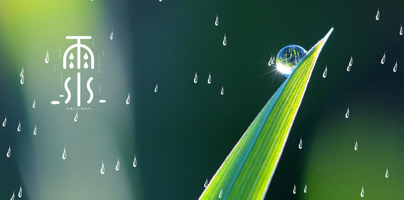 描写春天的经典古诗（有关春雨的唯美诗词）