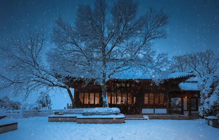 夜雪经典古诗词鉴赏（十首有关夜雪的诗句）