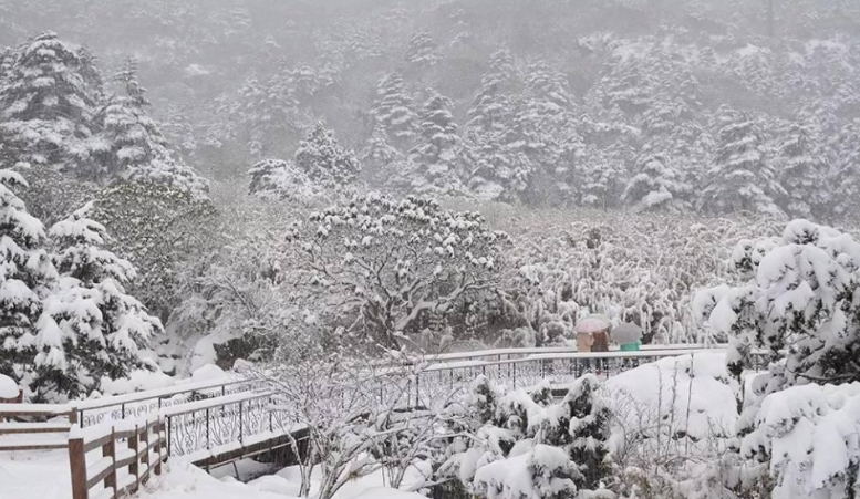 雪中唯美古诗大全（有关雪中的唯美诗词）