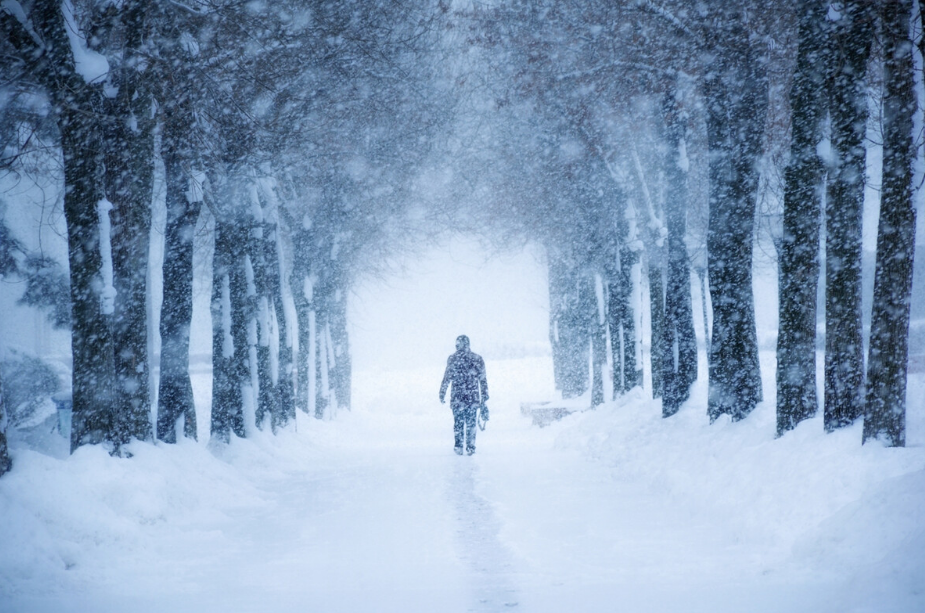 雪中唯美古诗大全（有关雪中的唯美诗词）