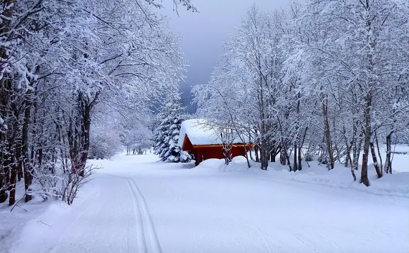 雪中唯美古诗大全（有关雪中的唯美诗词）