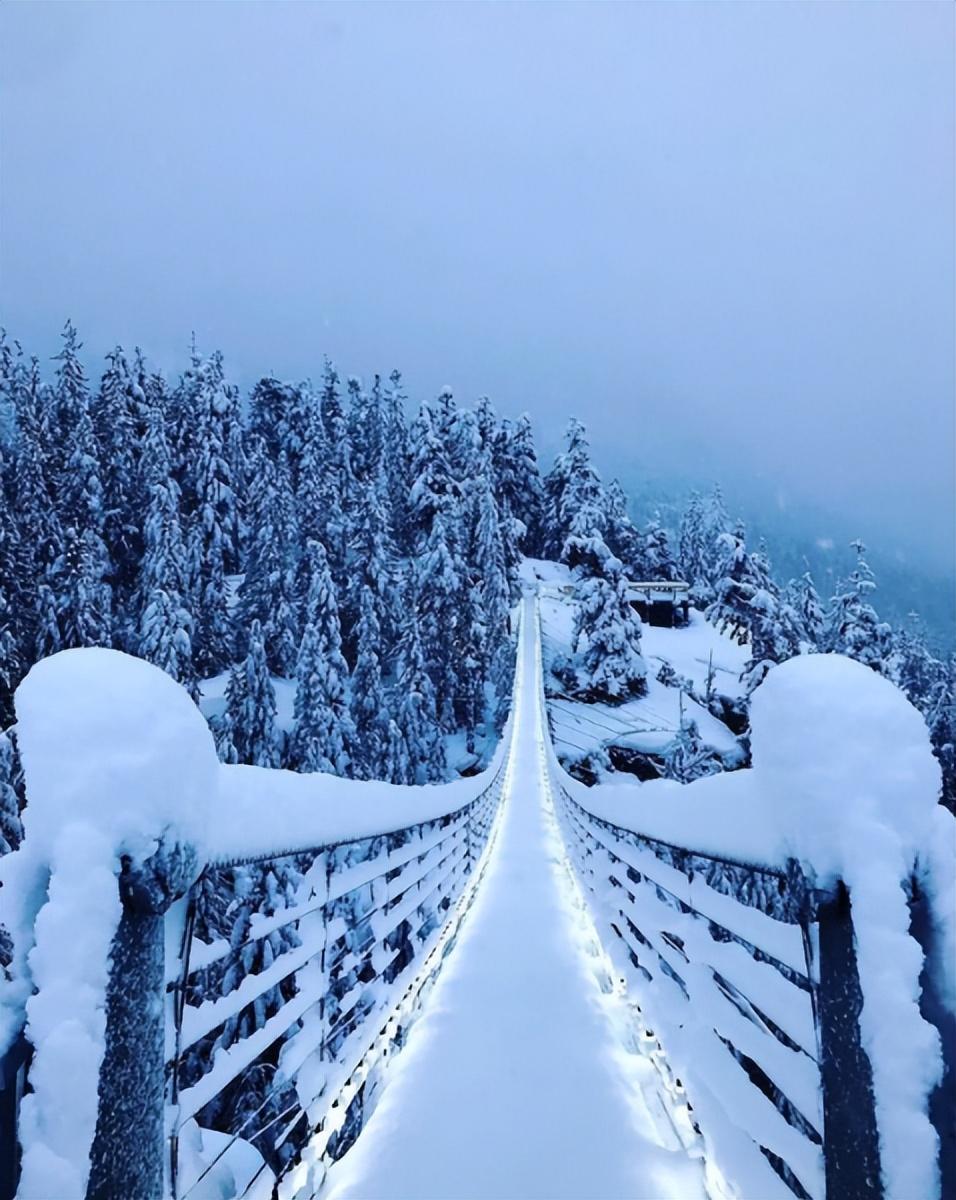 雪中唯美古诗大全（有关雪中的唯美诗词）