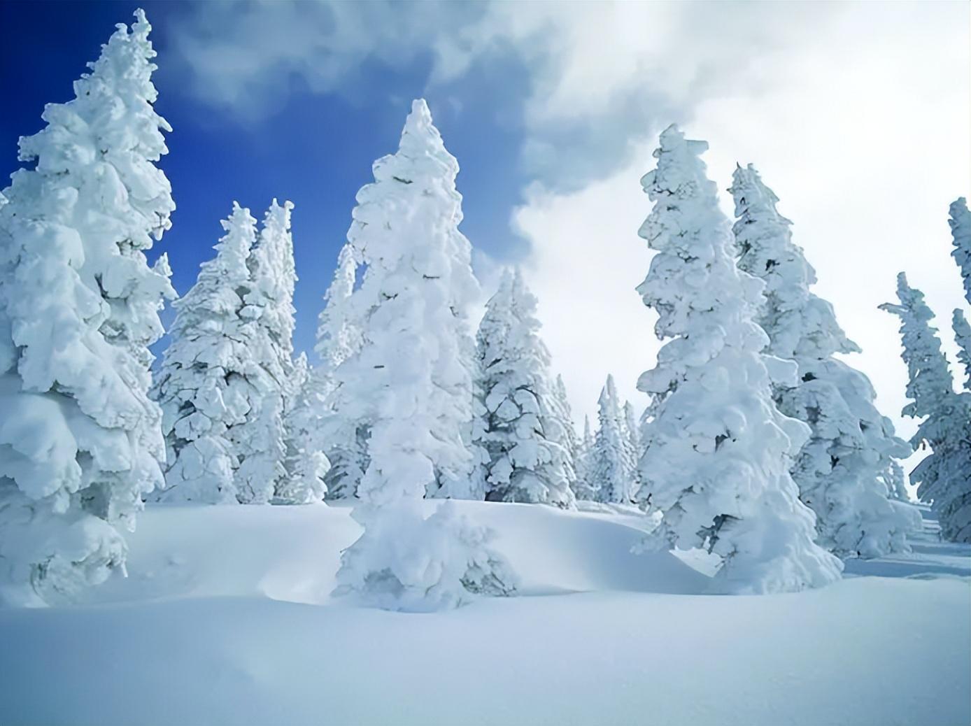 雪中唯美古诗大全（有关雪中的唯美诗词）