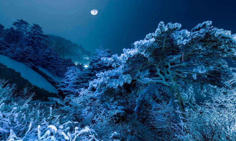 在安静的雪夜里，聆听雪落的声音（十四首唯美的雪夜诗词）