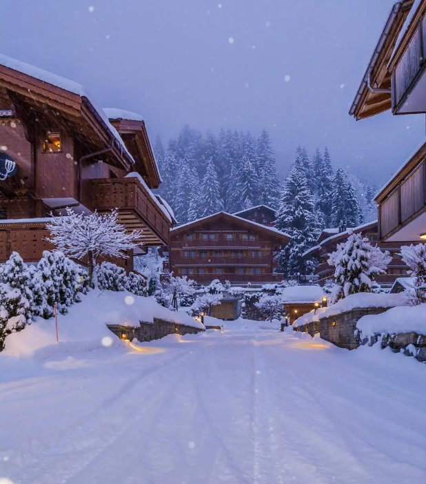 在安静的雪夜里，聆听雪落的声音（十四首唯美的雪夜诗词）