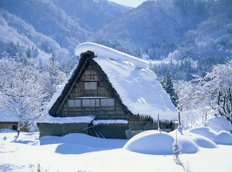 欲把诗催雪 待取玉花看（有关催雪的经典诗词）