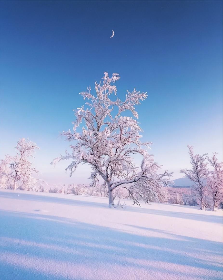 欲把诗催雪 待取玉花看（有关催雪的经典诗词）