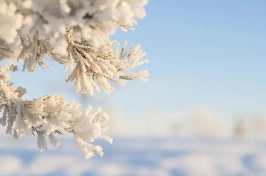 大雪唯美古诗大全（有关大雪的唯美诗词）