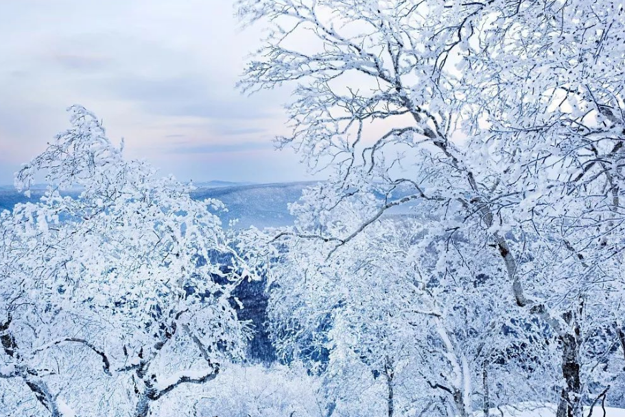 喜雪唯美古诗大全（有关喜雪的唯美诗词）