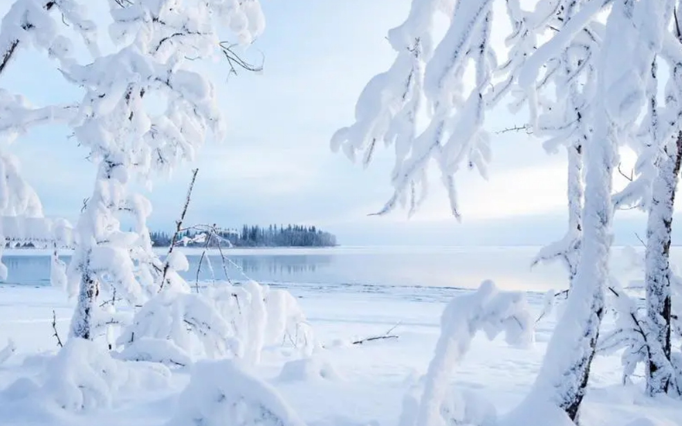 喜雪唯美古诗大全（有关喜雪的唯美诗词）