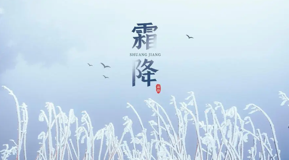 霜降唯美的古诗大全（有关霜降的优美诗句）