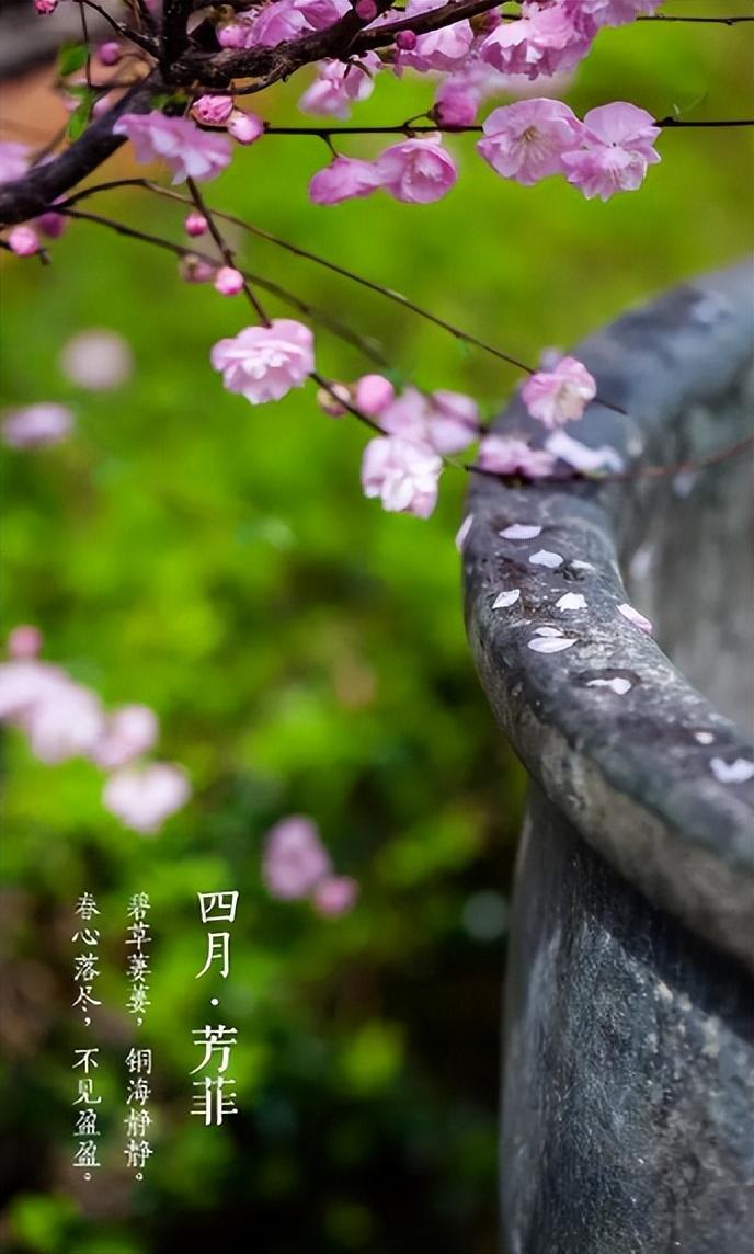 春日古诗词名句鉴赏（十首春日诗词）