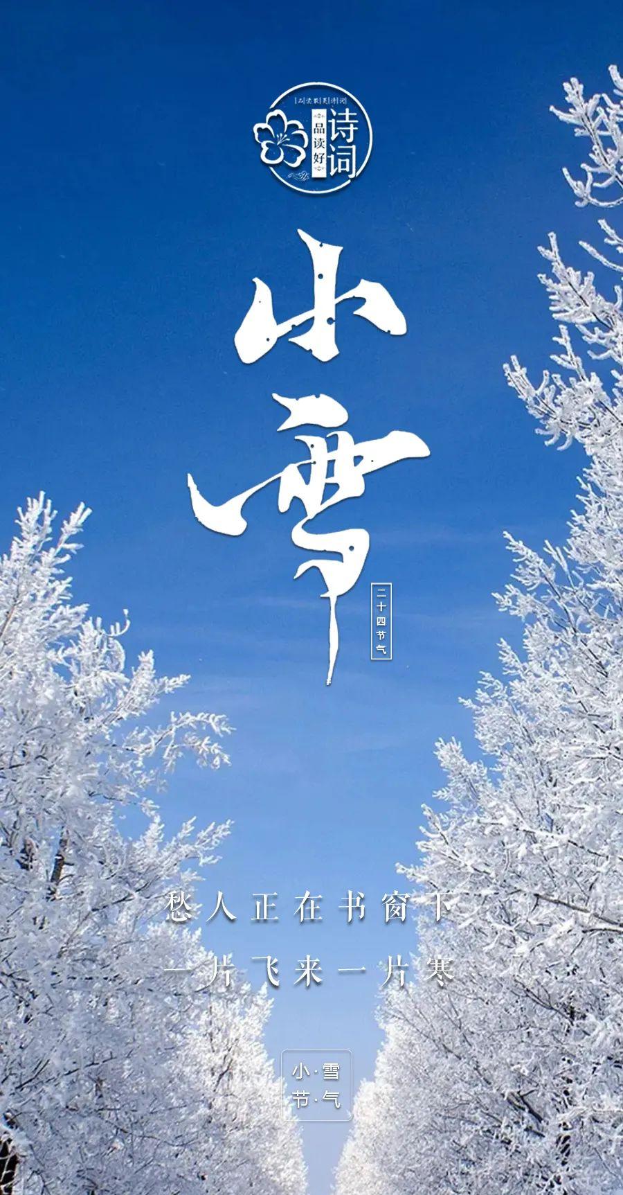 赞美小雪古诗名句（小雪初寒，冬意已至）