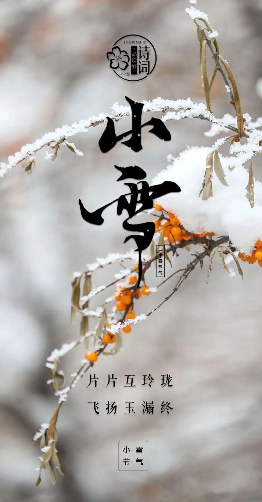 赞美小雪古诗名句（小雪初寒，冬意已至）