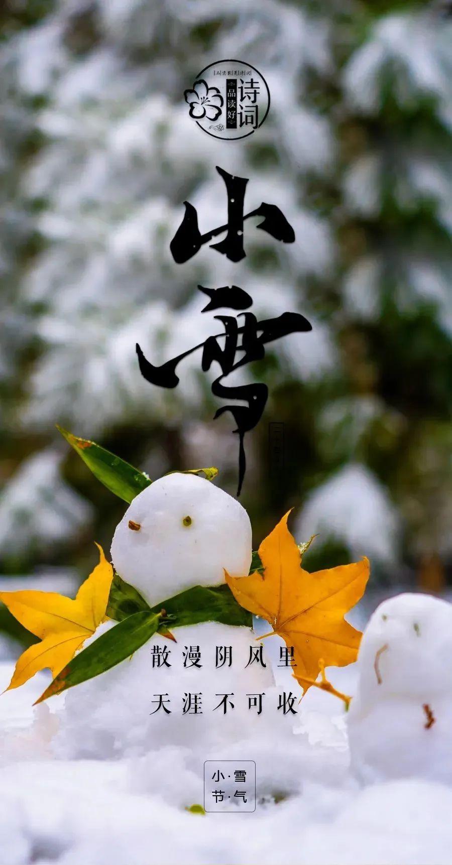 赞美小雪古诗名句（小雪初寒，冬意已至）