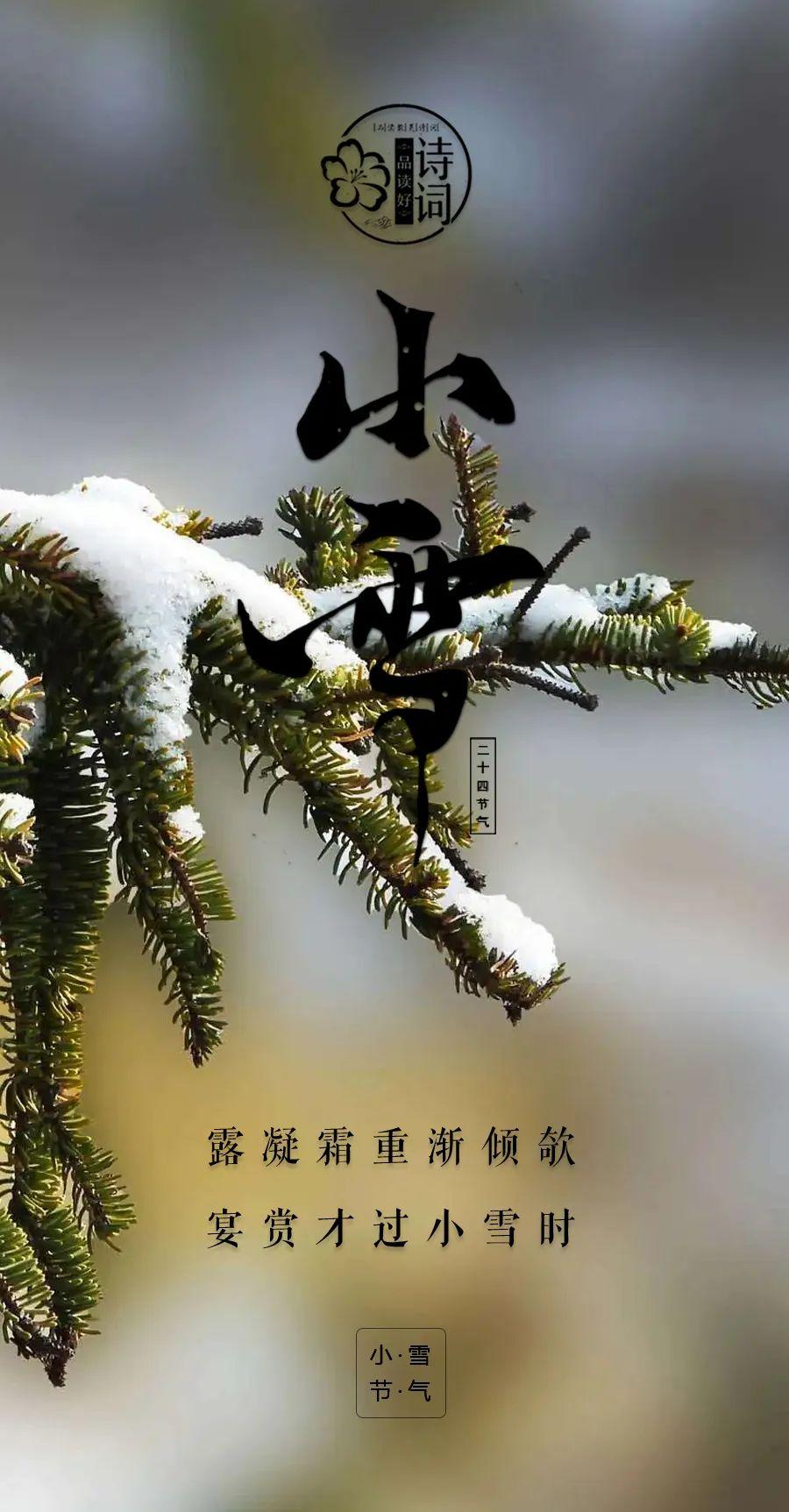 赞美小雪古诗名句（小雪初寒，冬意已至）