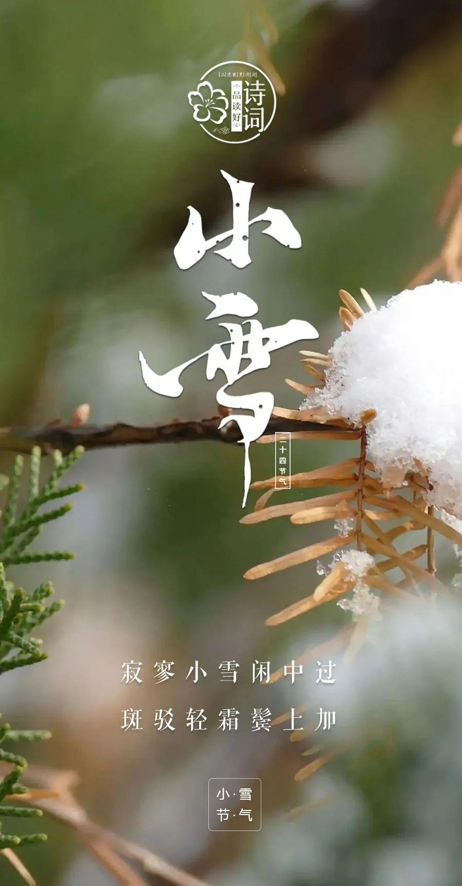 赞美小雪古诗名句（小雪初寒，冬意已至）