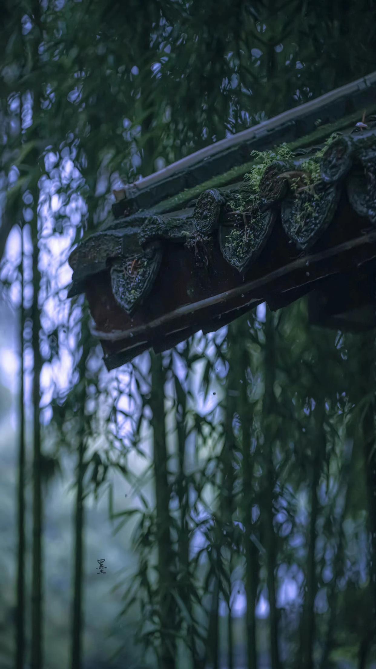 秋雨落叶经典诗词（六首秋雨诗词优美）