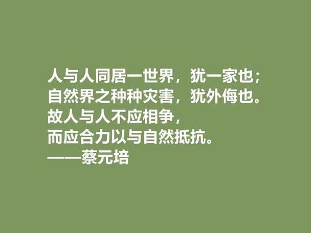 关于志向的名言警句带意思（梦想点亮前行路）