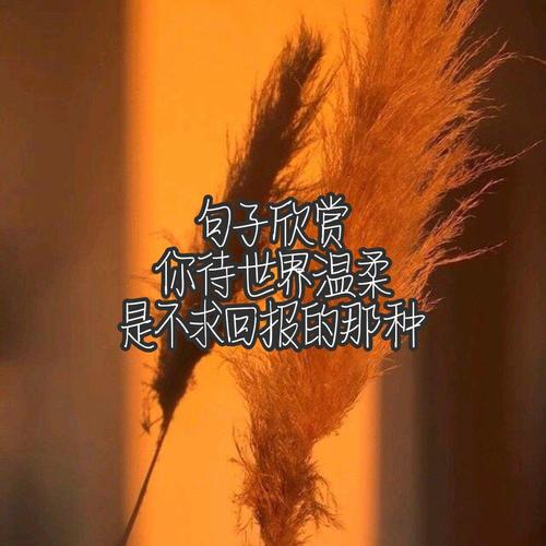 证明自己坚强的说说（坚强的证明——为自己而战）