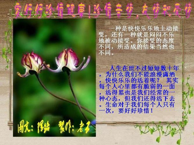 关于珍惜的句子段落（珍爱经典，品味唯美——唯美短句赏析）