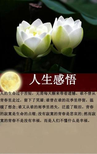 关于珍惜的金句（25个唯美短句助你珍惜人生）