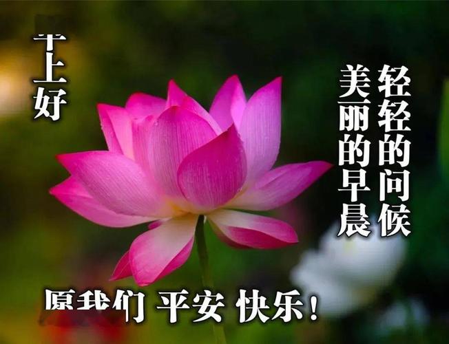 早上好的问候美句 问候语（主题：早上好问候语祝福短句）