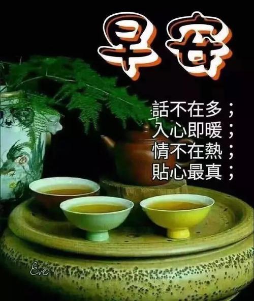 关于早上好的句子唯美短句（早上好，芳菲晨曦）