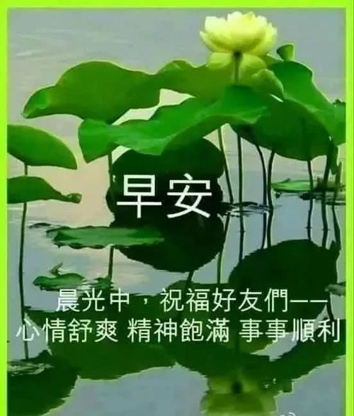 关于早上好的句子唯美短句（早上好，芳菲晨曦）