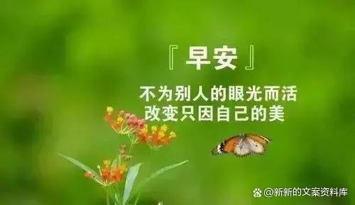 早上适合发朋友圈正能量短句（清晨的美好）