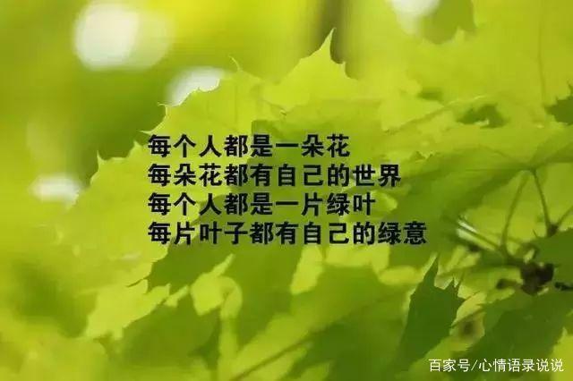 早上发朋友圈的句子 心情短句（清晨的美好时光）