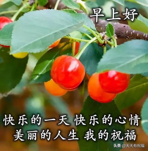 早安问候唯美佳句（1.晨曦之中，迎接新的开始，早安。）