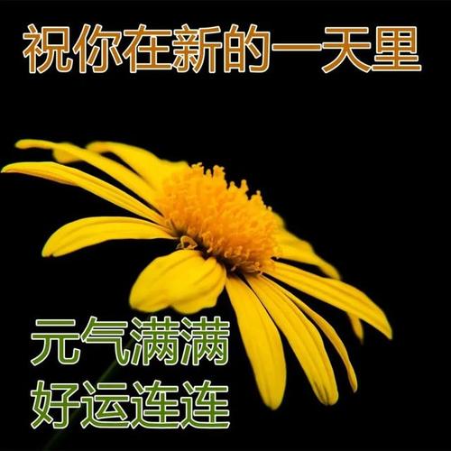 早安温暖人心的句子（早安，温暖人心）