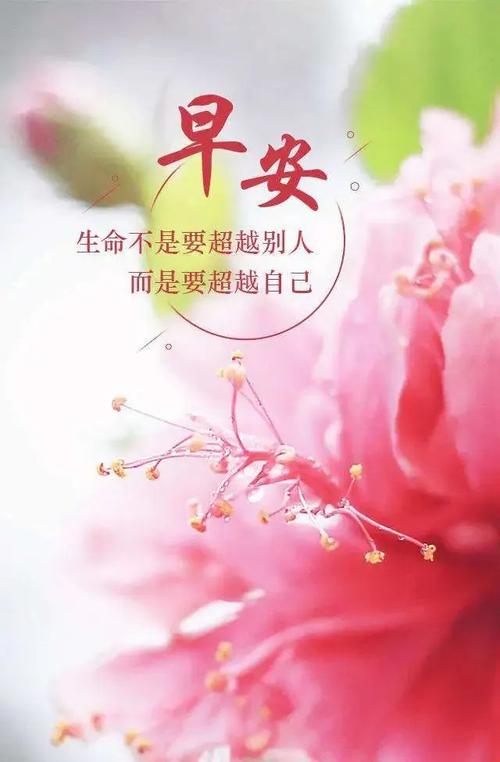 早安句子表达心情短句（早安，新的开始）