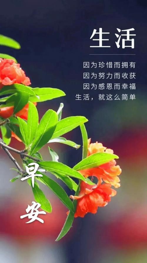 早安语录名人名言（名人名言传递美好祝福）