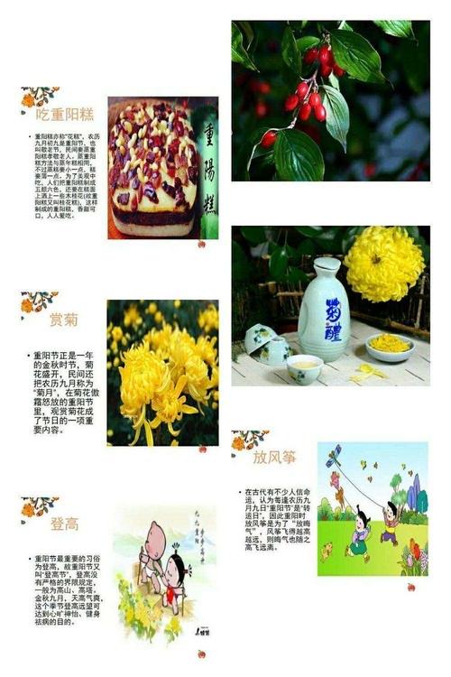 重阳节的句子短句唯美（赞美重阳节问候说说）