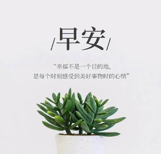 早安自律短句（唯美短句暖心引领）