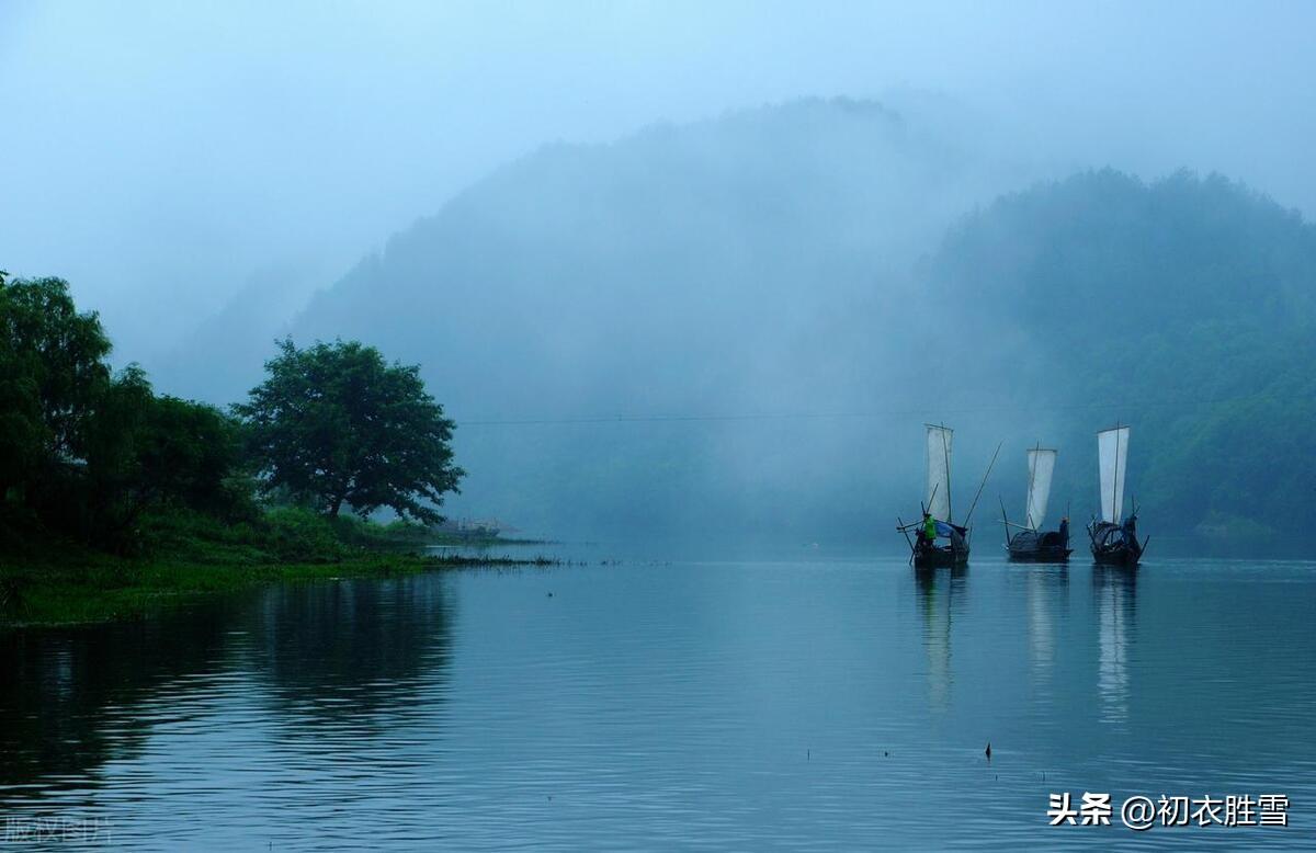 笋抽八九尺，荷生三四枝（立夏美景古诗五首）