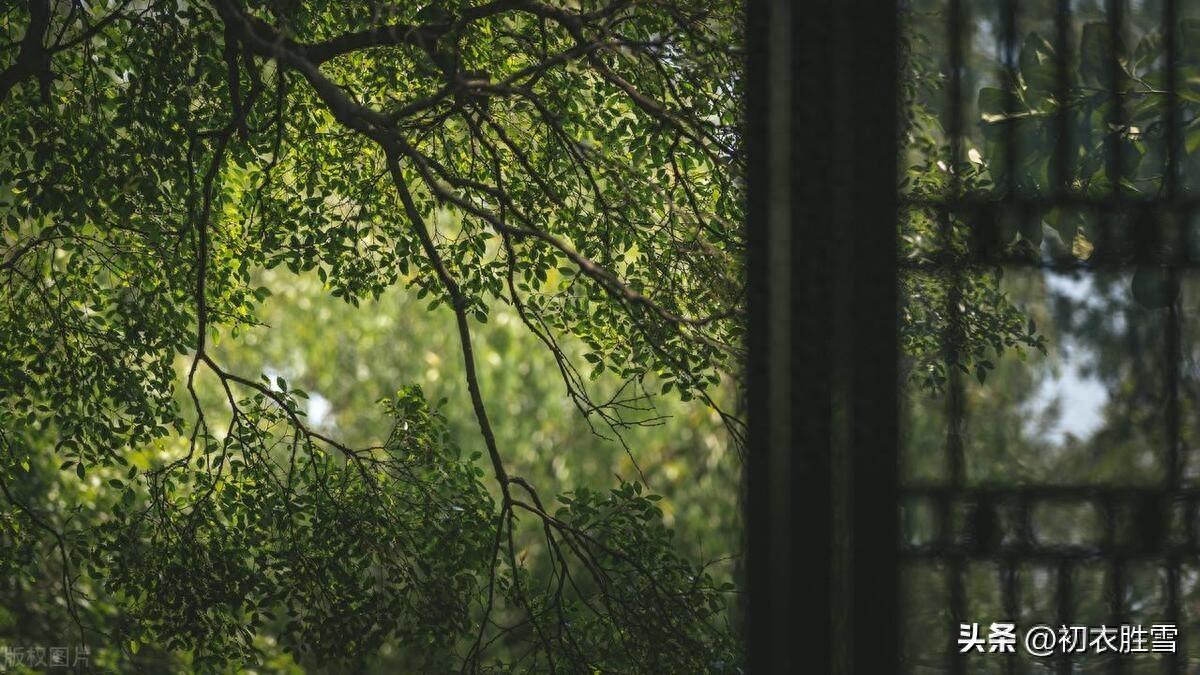 赏读陶渊明的早夏诗（孟夏草木长，流观山海图）