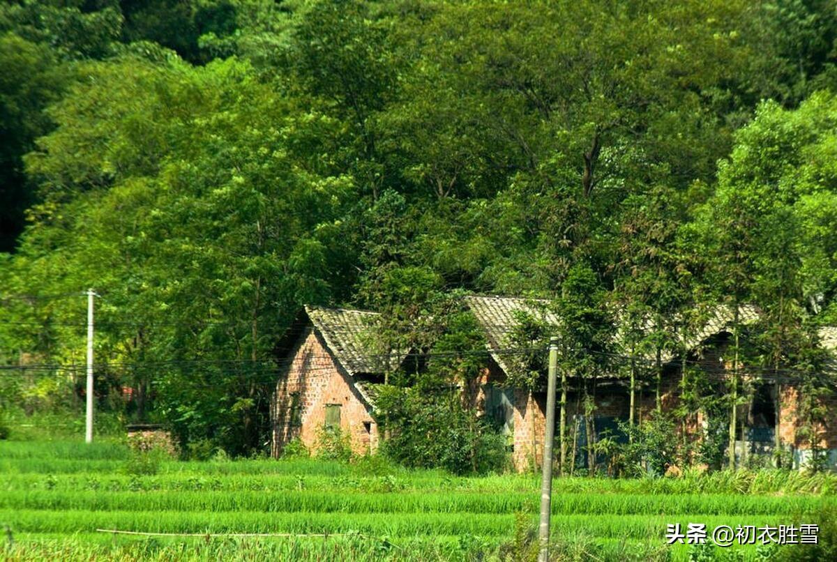 赏读陶渊明的早夏诗（孟夏草木长，流观山海图）