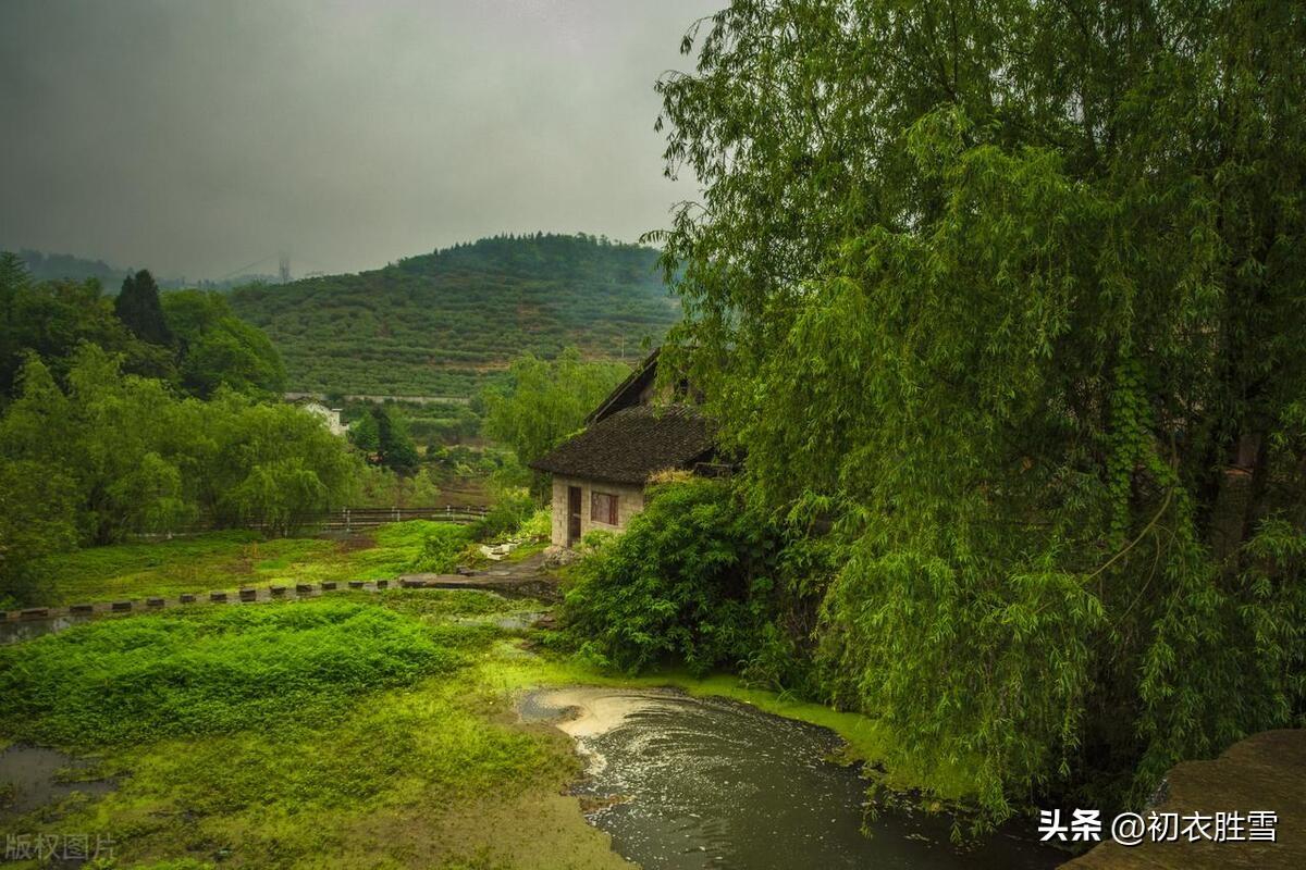 赏读陶渊明的早夏诗（孟夏草木长，流观山海图）