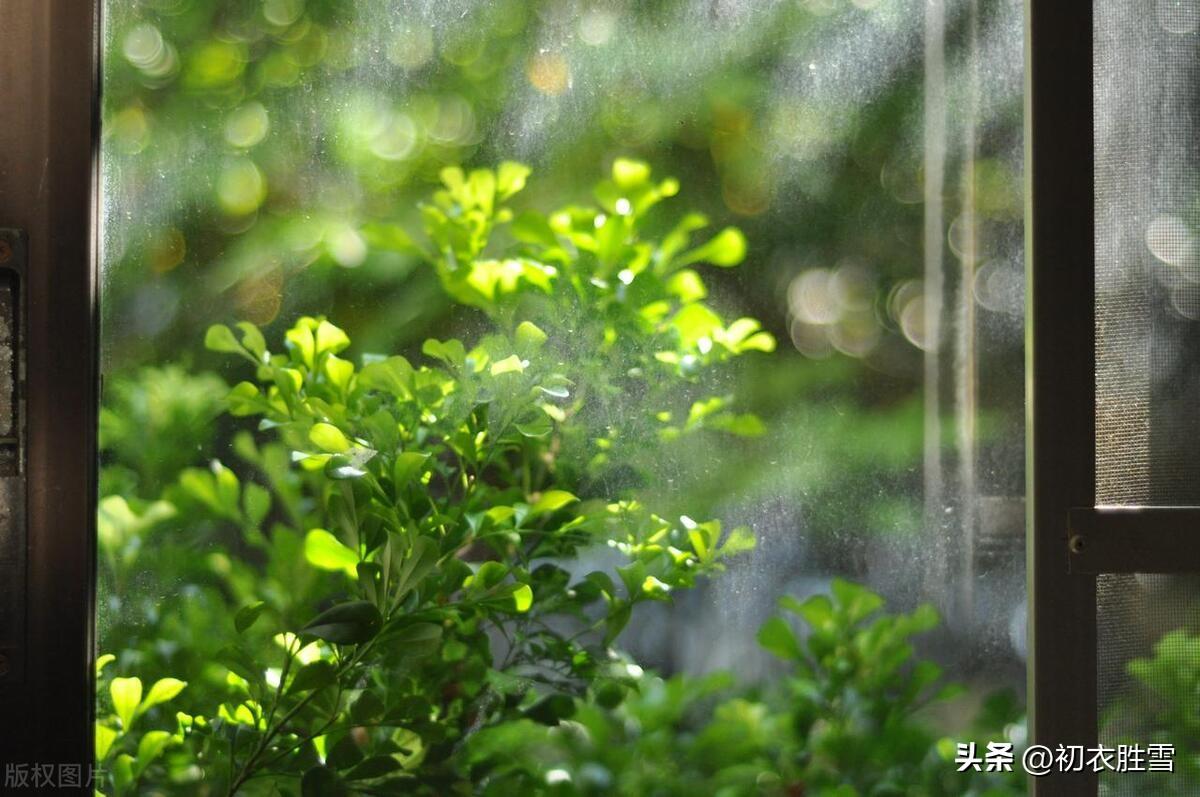 赏读陶渊明的早夏诗（孟夏草木长，流观山海图）